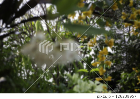 Shop on a plant and gardening market 126239957