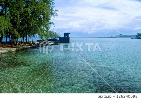 ハワイ島 ヒロ ココナッツ・アイランド ハワイ島 ヒロ ココナッツ・アイランド 126240698