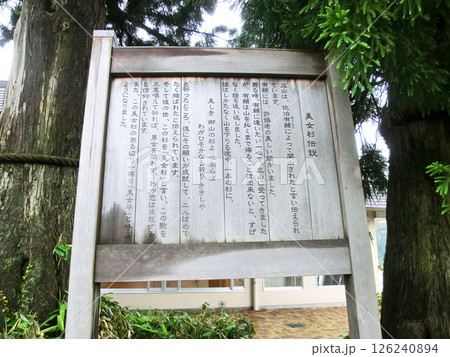 立山の美女杉伝説(富山県立山町) 立山の美女杉伝説(富山県立山町) 126240894