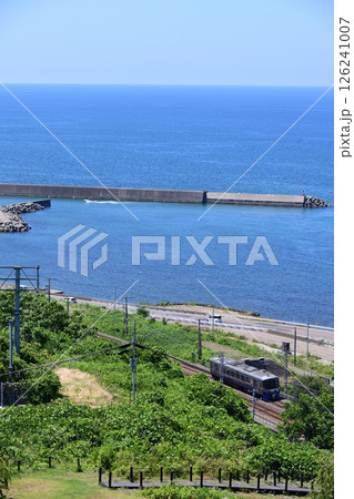 日本海を背景に走るえちごトキめき鉄道ローカル列車 126241007