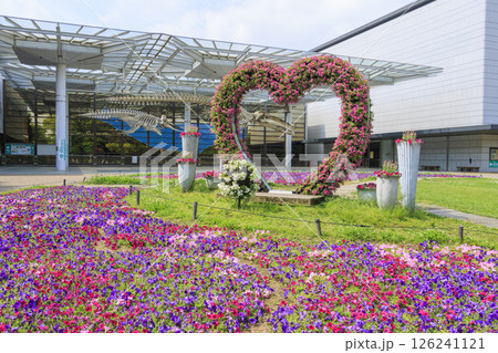 長居植物園　満開の春の花々 126241121