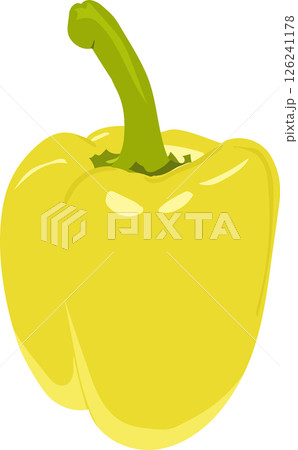 vector illustration of yellow pepper flat design, Yellow Bell Pepper Illustration on White Background  126241178