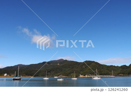 静かな入り江に浮かぶ数隻のヨット 静かな入り江に浮かぶ数隻のヨット 126241260