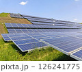 緑に囲まれた太陽光発電所 126241775