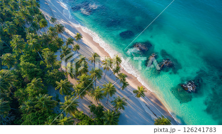 Breathtaking view of a beautiful beach surrounded by palm trees and turquoise water in a tropical paradise 126241783