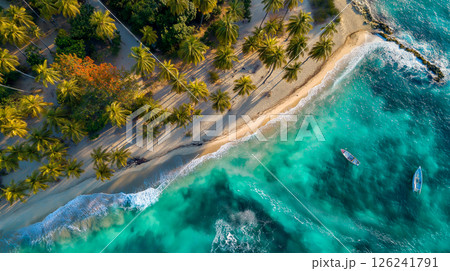 Stunning high angle view of a pristine beach with turquoise water and palm trees 126241791