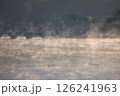 秋のタウシュベツ川橋梁 126241963