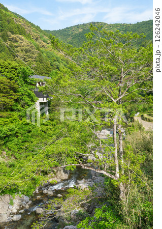 オーベルジュ土佐山(高知県高知市の里山の宿) オーベルジュ土佐山(高知県高知市の里山の宿) 126242046