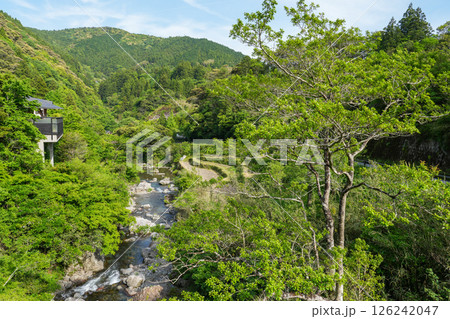 オーベルジュ土佐山（高知県高知市の里山の宿） 126242047