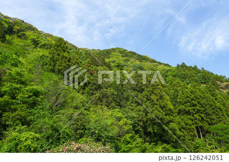 オーベルジュ土佐山（高知県高知市の里山の宿） 126242051