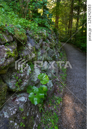 オーベルジュ土佐山（高知県高知市の里山の宿） 126242083