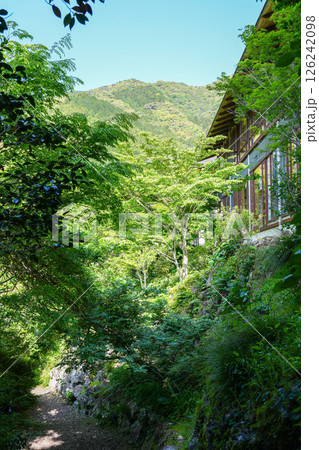 オーベルジュ土佐山(高知県高知市の里山の宿) オーベルジュ土佐山(高知県高知市の里山の宿) 126242098