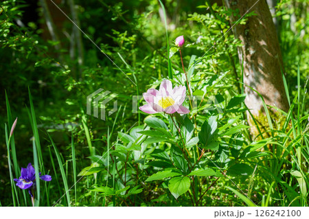 オーベルジュ土佐山（高知県高知市の里山の宿） 126242100