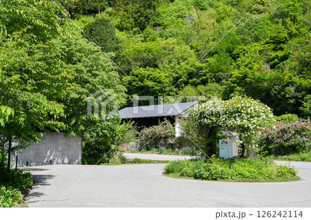 オーベルジュ土佐山(高知県高知市の里山の宿) オーベルジュ土佐山(高知県高知市の里山の宿) 126242114
