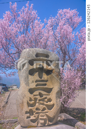 二十三夜塔と桜【安曇野】 二十三夜塔と桜【安曇野】 126242145