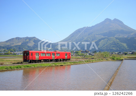 春霞の由布岳と赤い列車（JR九州　キハ220形） 126242266