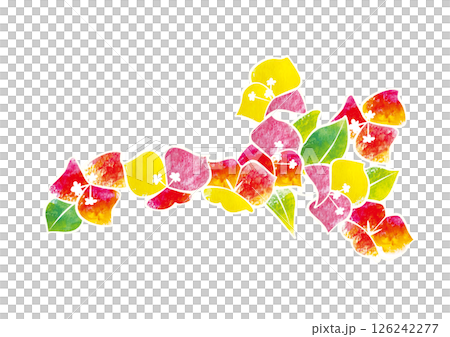 Cutout style illustration of bougainvillea 126242277