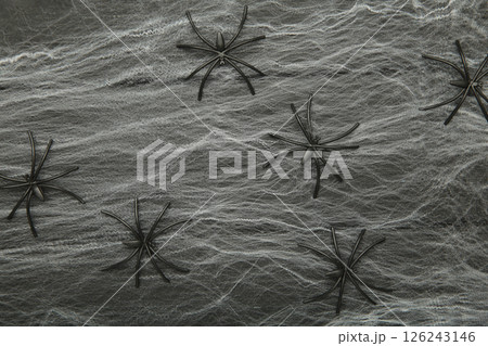 Halloween decoration concept. Artificial spider web decoration with spiders on black background. top view Halloween decoration concept. Artificial spider web decoration with spiders on black background. top view 126243146