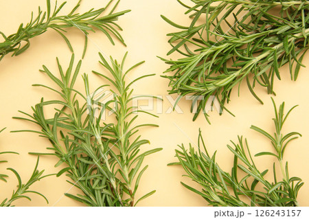 Fresh rosemary bunch on beige background. macro photo Fresh rosemary bunch on beige background. macro photo 126243157