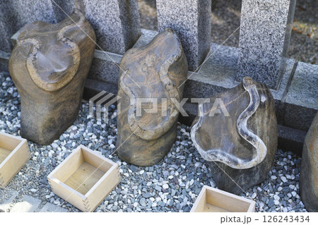 金蛇水神社の蛇石 金蛇水神社の蛇石 126243434