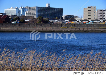千住の大学の建物と隅田川と京成スカイライナー 千住の大学の建物と隅田川と京成スカイライナー 126243442