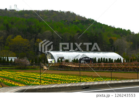 山中湖 花の都公園の景色 山中湖 花の都公園の景色 126243553