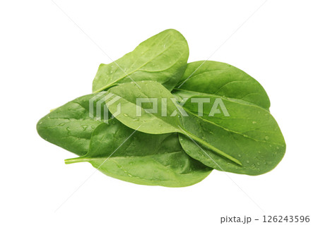 Bunch of fresh green spinach leaves on isolated background 126243596