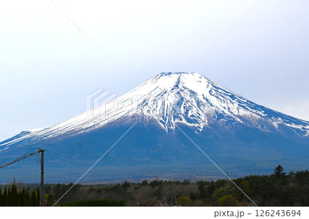 山中湖 花の都公園の景色 山中湖 花の都公園の景色 126243694