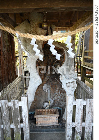 金蛇水神社 126243857