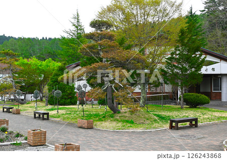 山中湖　花の都公園の景色 126243868