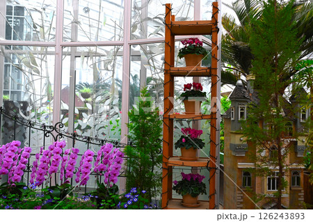 山中湖 花の都公園の景色 山中湖 花の都公園の景色 126243893