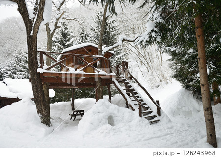 広島県庄原市高野町　冬の大鬼谷オートキャンプ場　ツリーハウス 126243968