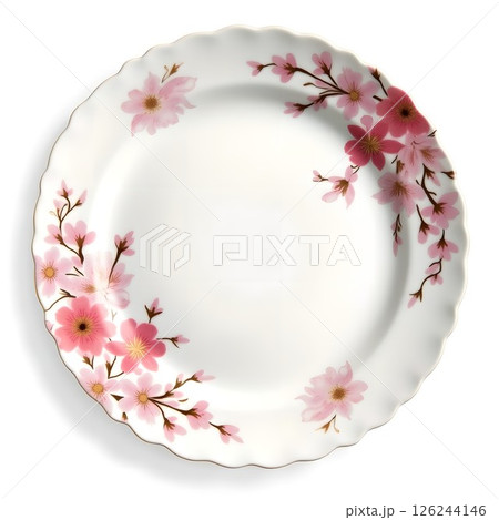 日本の自然美や四季を表現した伝統的なモチーフの伊万里焼の和皿。日本最古の磁器と言われている。 126244146