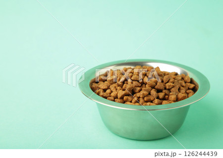 Dog or cat food in a silver bowl on mint background Dog or cat food in a silver bowl on mint background 126244439