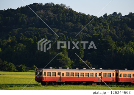 西日を浴びる晩夏の小湊鉄道 126244668