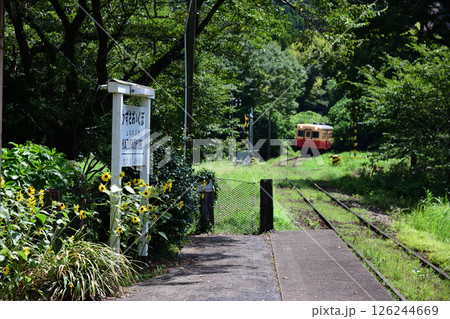 深緑の上総大久保駅に接近する小湊鉄道のローカル列車 深緑の上総大久保駅に接近する小湊鉄道のローカル列車 126244669
