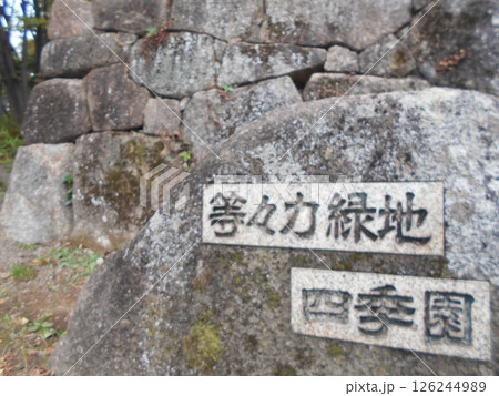 等々力緑地四季園その2 等々力緑地四季園その2 126244989