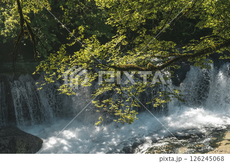 Waterfall lush greenery. Natural landscape with a waterfall Waterfall lush greenery. Natural landscape with a waterfall 126245068