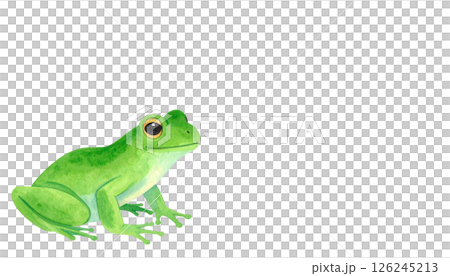かわいいカエルのイラスト素材 126245213