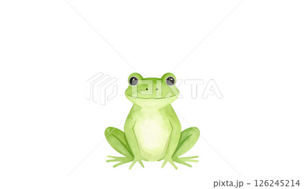 かわいいカエルのイラスト素材 126245214