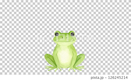 かわいいカエルのイラスト素材 126245214