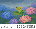 梅雨の雨とカエル 126245352