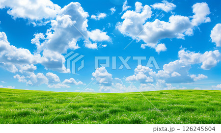 Green meadows with blue sky and cloud background. 126245604