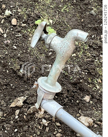 水道の蛇口と配管 126245716