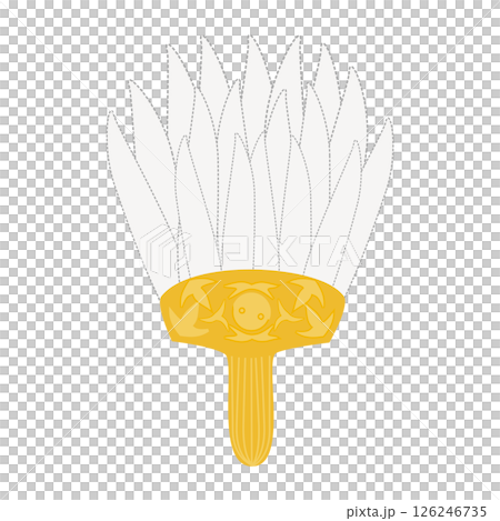 feather fan 126246735