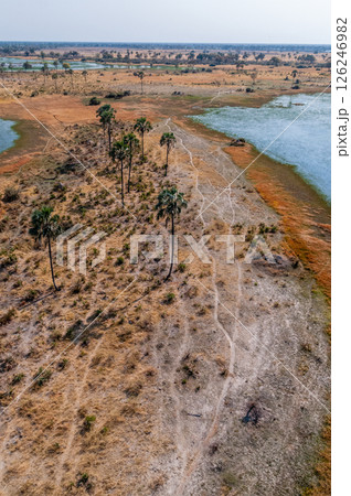 Aerial view of the Okavango Delta 126246982
