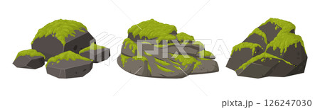 Cartoon mossy stone. Green creeping moss grow on stone, moss plants grows on grey rock flat vector illustration. Jungle moss plants on grey rock 126247030
