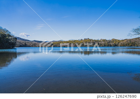 伊東市の一碧湖の風景(静岡県) 126247690