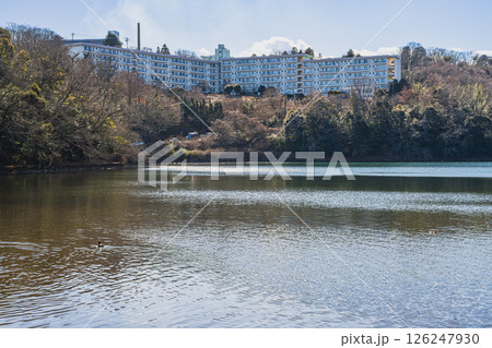 伊東市の一碧湖の風景(静岡県) 126247930