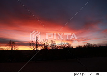 Beautiful sunset with a pink sky and trees in the background 126248108